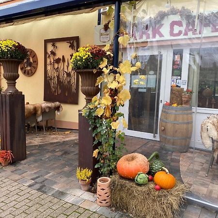 Ferienwohnungen Park Cafe Am Kurpark 베른카슈텔쿠에스 외부 사진